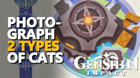 Photograph 2 Types Of Cats Genshin Impact YouTube