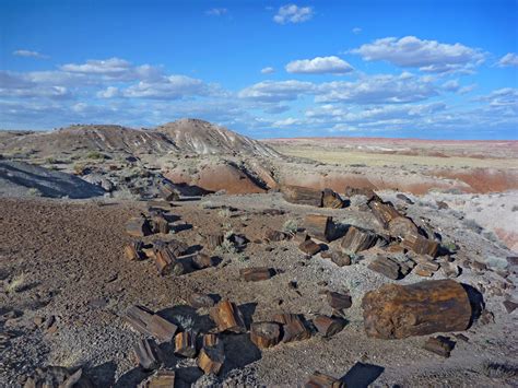 Petrified Forest National Park, Holbrook, Arizona