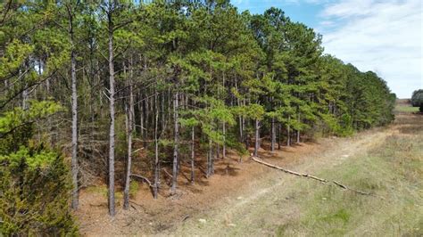 Opelika Lee County Al Farms And Ranches Undeveloped Land For Sale