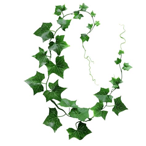 Ivy Vine Patterns