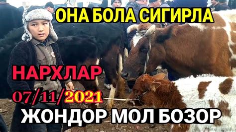 BUXORO JONDOR MOL BOZOR ONA BOLA SIGIRLA NARXLAR 07 11 2021 YouTube