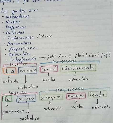 actividad escribe 10 oraciones utilizando la mayoría de los partes de