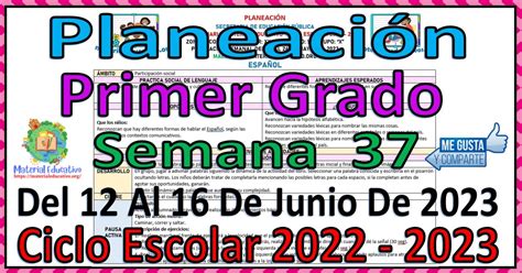 Planeación del primer grado de primaria de la semana 37 del 12 al 16 de