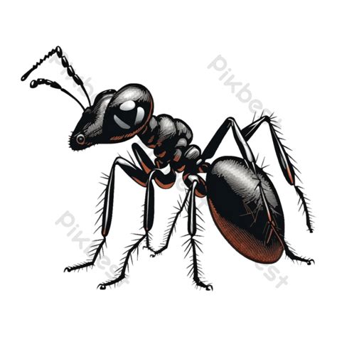 Ant Vectors PNG Images | PSD Free Download - Pikbest