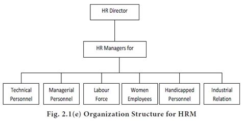 Function Oriented Structure For HR Department Organization Of HRM