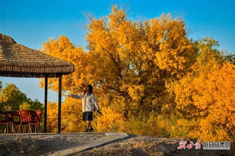 前方高能！如意甘肃秋景“大片”震撼来袭 你pick哪张凤凰网甘肃凤凰网