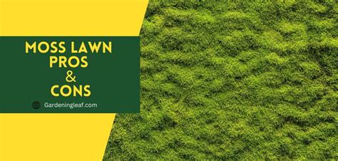 Moss Lawn Pros And Cons Professional Conclusion