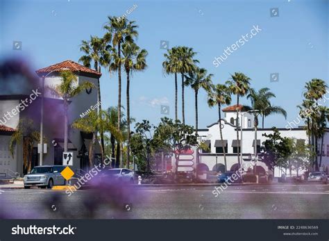 Palm Framed View Downtown Costa Mesa Stock Photo 2248636569 | Shutterstock