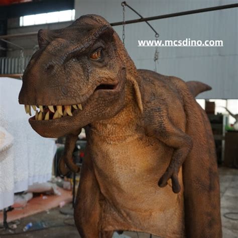 Realistic T-rex Costume-DCTR629