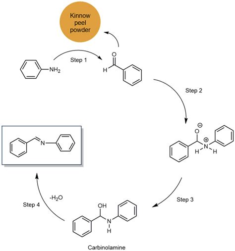 Possible Mechanism Of Schiff Base Reaction With Kinnow Peel Powder