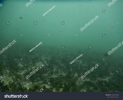 1816 Imagens De Muddy Underwater Imagens Fotos Stock E Vetores