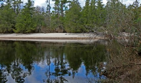 Blackwater River State Park Outdoor Project