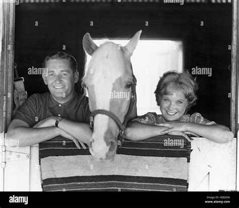 MR. ED, Alan Young, Mr. Ed, Connie Hines, 1961-66 Stock Photo - Alamy