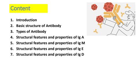 Solution Immunoglobulins Or Antibodies Introduction Structure Types Of