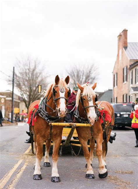 Americana, Middleburg and the Holiday Parade – Middleburg Life