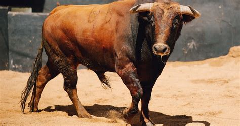 Gel N Noticias Toros Orden De Lidia De Los Toros De El Parralejo