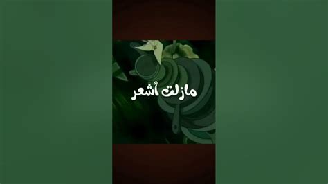 اغنيه حياة الساحرات ️ (ذكريات سبيستونية)😙 - YouTube