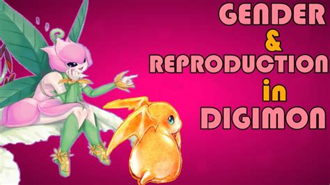 Explaining Digimon Gender Male Female And Reproduction [digimon