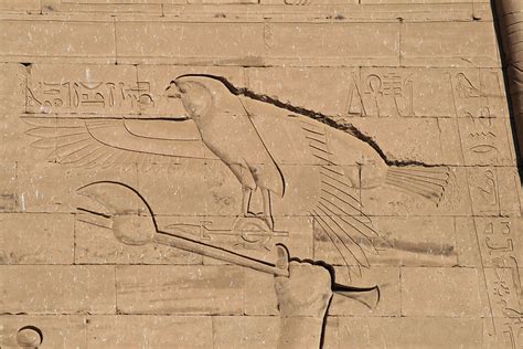 Eagle hieroglyph | Egypt, Poster, Art