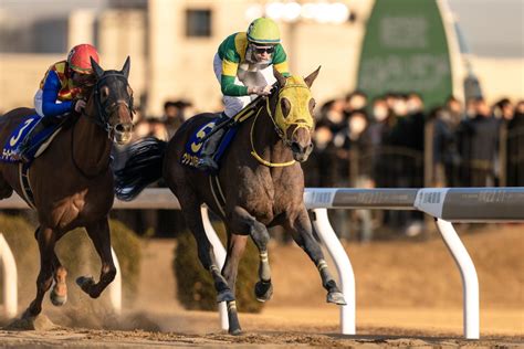 【日本テレビ盃】世界のウシュバテソーロが始動4枠4番へ 競馬ニュースなら競馬のおはなし