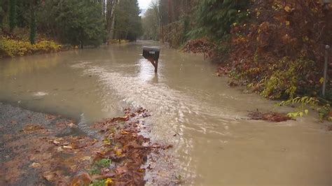 Skagit River Reaches Highest Level In 11 Years As Heavy Rains Continue To Take Toll Komo