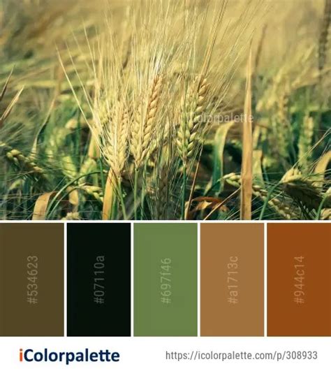 137 Wheat Color Palette Ideas In 2024 Icolorpalette