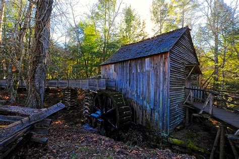 Best Places To See Bears In The Smoky Mountains Sb Getaways