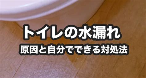 トイレの水漏れの原因と自分で直せる対処法｜修理の相場料金は？ くらしのマーケットマガジン