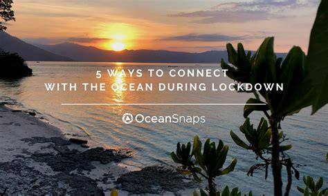 5 Ways to Connect with the Ocean during Isolation » OceanSnaps