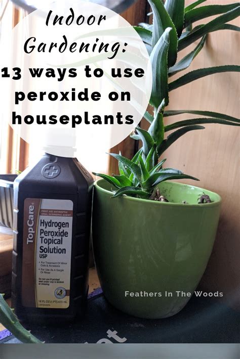 Uses For Peroxide In The Garden And On Houseplants Feathers In