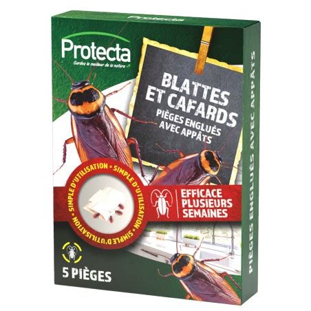 Piège blattes et cafards