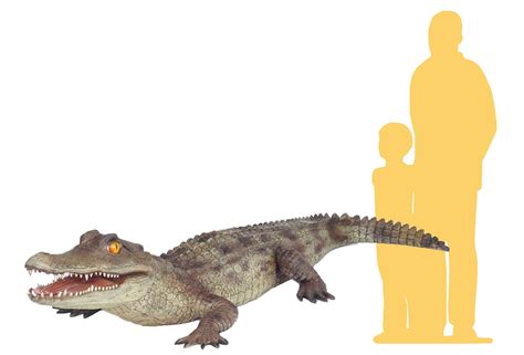 LIfe-size Caiman Alligator Statue - Event Décor And Prop Rental