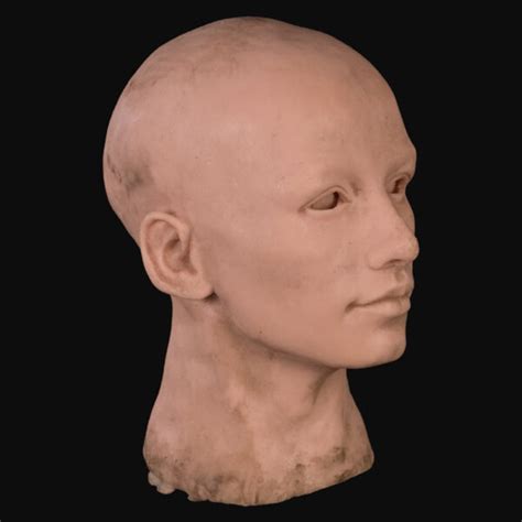 Hso Silicone Head Semi Finished Hww Museum Mannequins