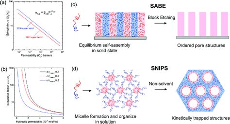 Isoporous Block Copolymer Membranes Made From Self Assembly And Block Download Scientific