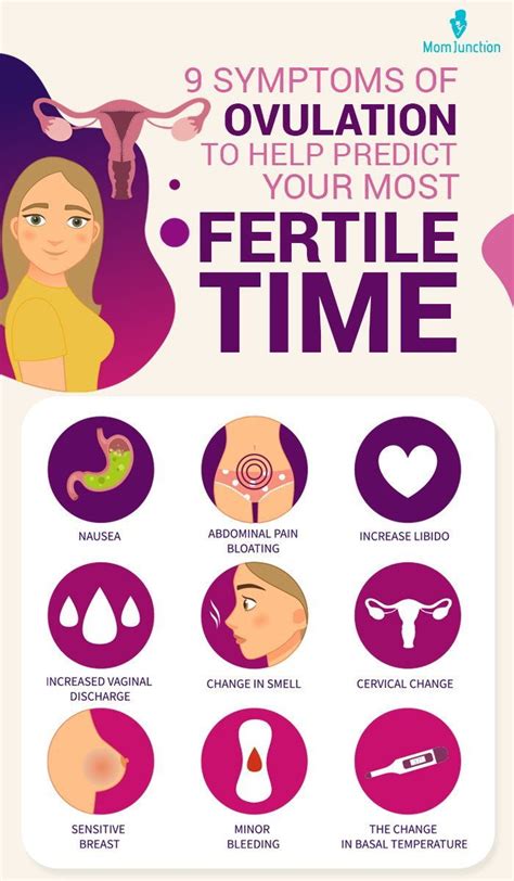 9 Symptoms Of Ovulation To Help Predict Your Most Fertile Time Artofit