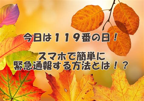 今日は119番の日！スマホで簡単に緊急通報する方法とは！？ 就労継続支援b型事業所 Kokoe