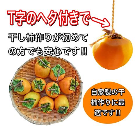 【楽天市場】柿 かき よこの柿 横野柿 愛媛県 丹原産 干し柿 用 渋柿 約 10kg 枝付渋柿 干し柿 つるし柿 あんぽ柿 さらし柿用