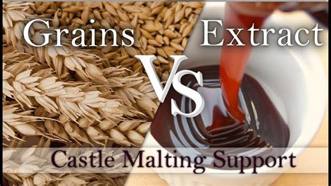 All Grain Vs Extract Brewing Castle Malting Support Brew Insight