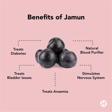 Jamun Fruit Benefits