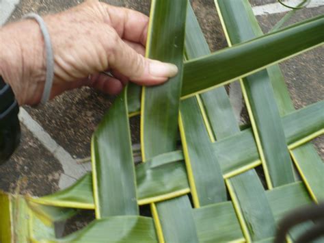 Weaving Coconut Leaf Plates | ThriftyFun