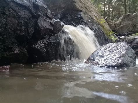 Parque Nacional Fuentes Brotantes Av De Las Fuentes S N Tlalpan