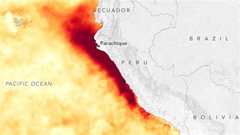 Enfen El Niño Costero Se Prolongará Hasta El Verano De 2024