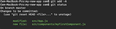 Top Most Used Git Commands That Every Developer Should Know Hot Sex