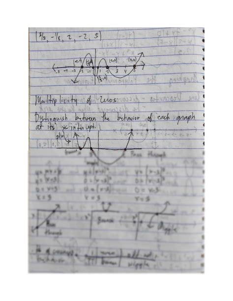 Solution Graphing The Polynomial Equations Studypool