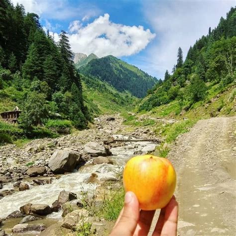 Ratti Gali Lake Hike Kashmir Pakistan | Kashmir pakistan, Kashmir, Pakistan