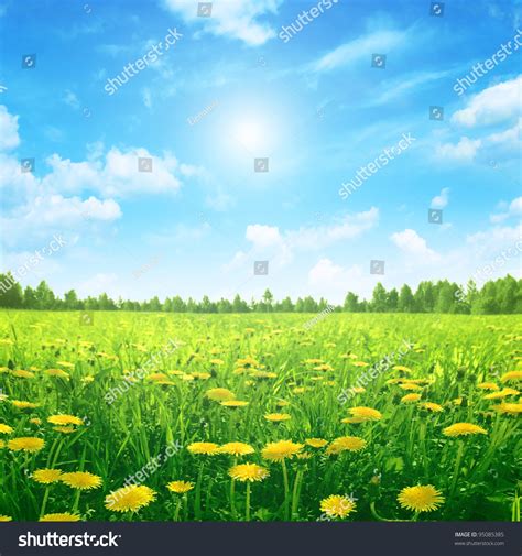 Sunlight In Blue Sky Spring Field Stock Photo 95085385 Shutterstock