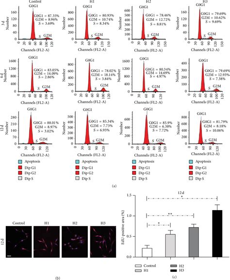 Figure From Human Amnion Derived Mesenchymal Stem Cells Promote