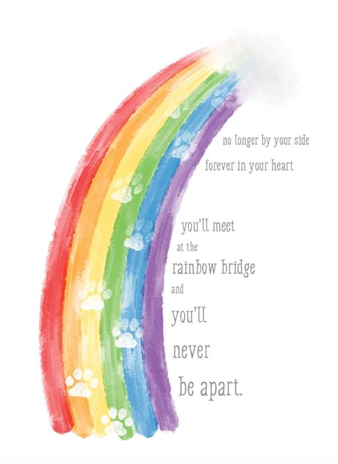 Rainbow Bridge Pet Loss Sympathy Card Etsy