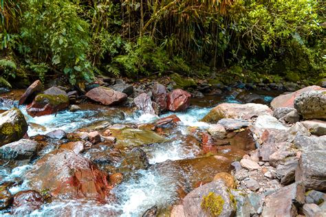 Cocora Valley. on Behance