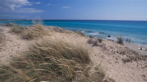 Dune Costiere In Puglia Caos Dopo La Nuova Legge Qui Modelli